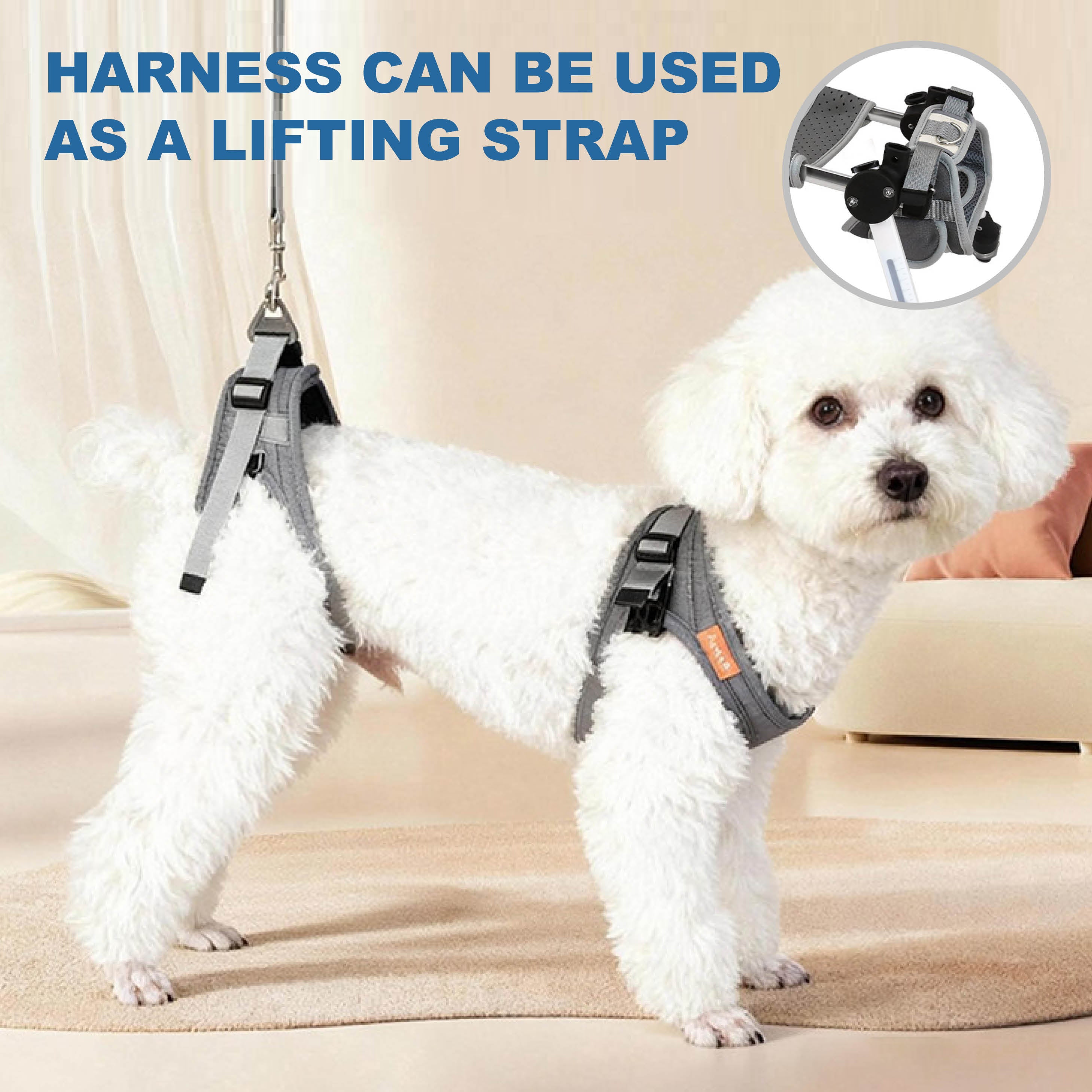 Adjustable 4-Wheel Dog Wheelchair for Rear Leg Disability