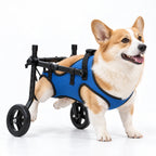 Small Dog Wheelchair for Back Legs – Lightweight & Adjustable