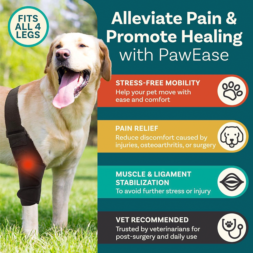 Dog ACL Knee Brace
