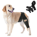 Everyday Dog Knee Compression Sleeve for Mild Joint Arthritis
