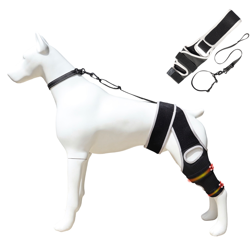 Dog ACL Knee Brace