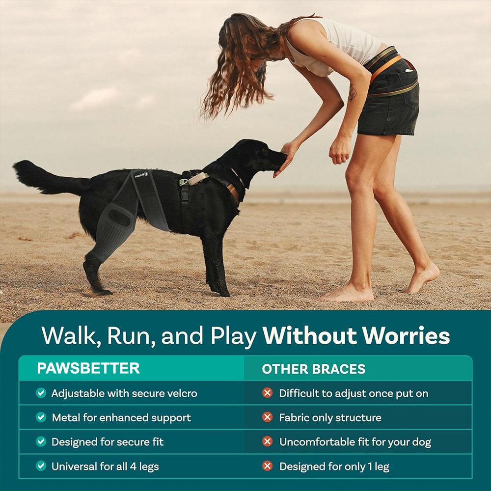 Dog ACL Knee Brace