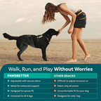 Dog ACL Knee Brace