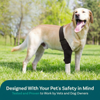 Dog ACL Knee Brace