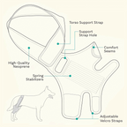 Dog ACL Knee Brace