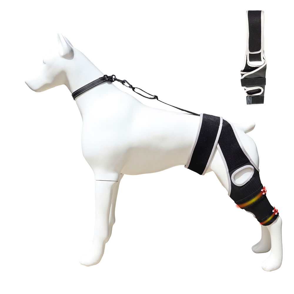 Dog ACL Knee Brace