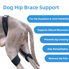 Professional Dog Hip Dysplasia Brace
