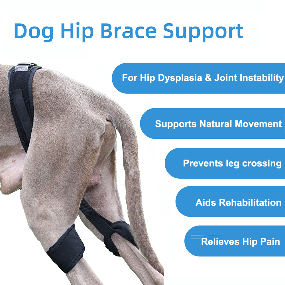 Professional Dog Hip Dysplasia Brace