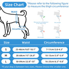 Professional Dog Hip Dysplasia Brace