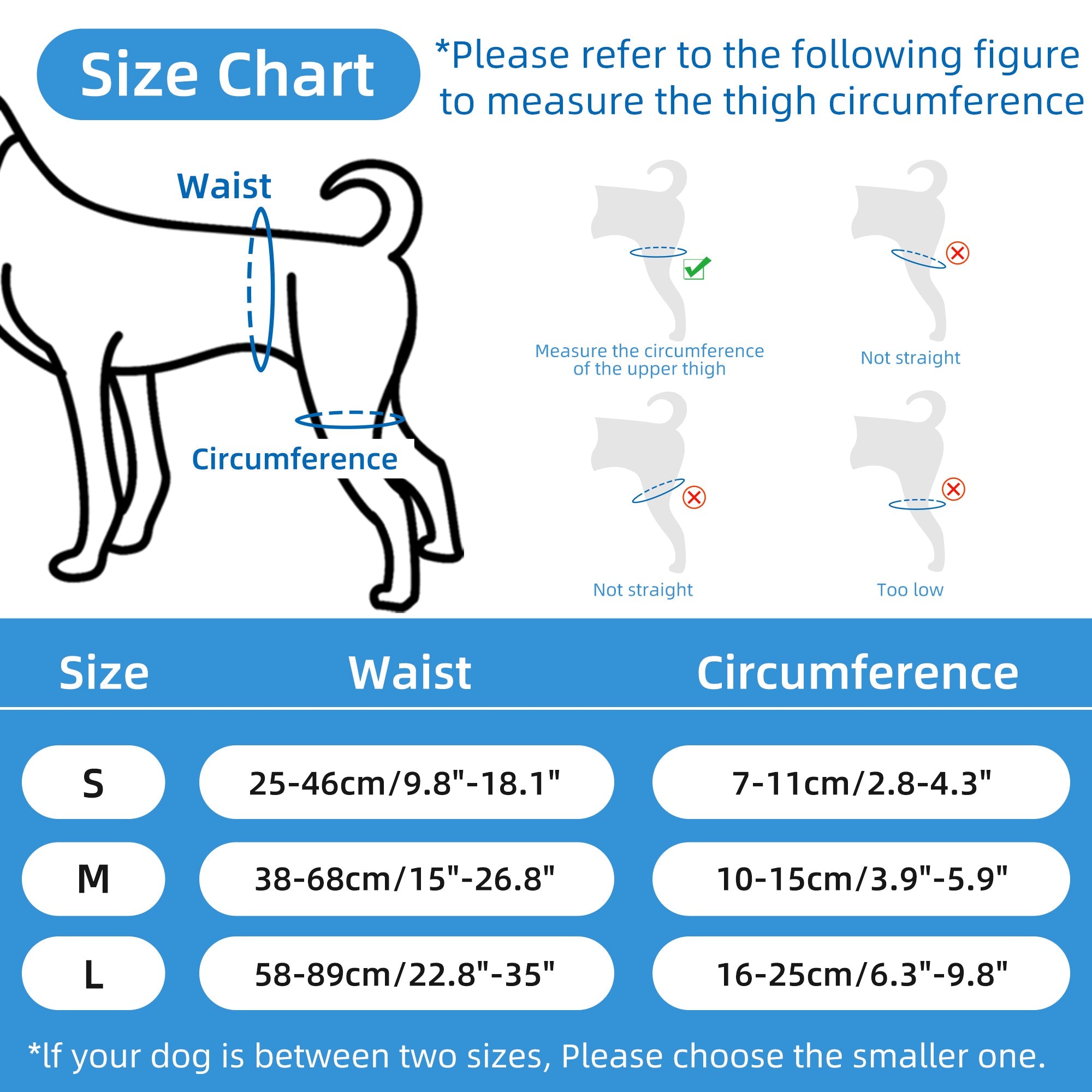 Professional Dog Hip Dysplasia Brace