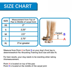 Dog Knuckling Brace for DM & IVDD - Anti-Drag Front & Back Leg Support