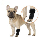 Dog Knuckling Brace for DM & IVDD - Anti-Drag Front & Back Leg Support