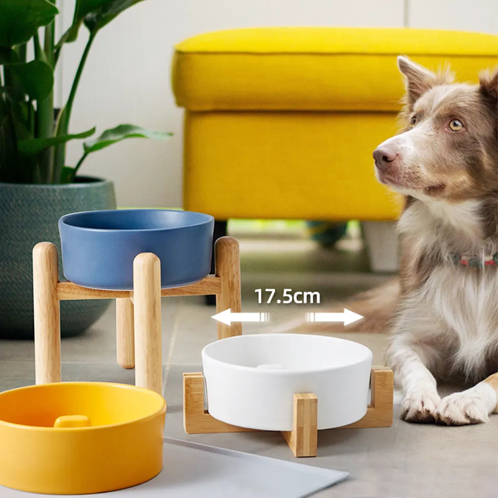 Ceramic Dog Slow Feeder Bowl