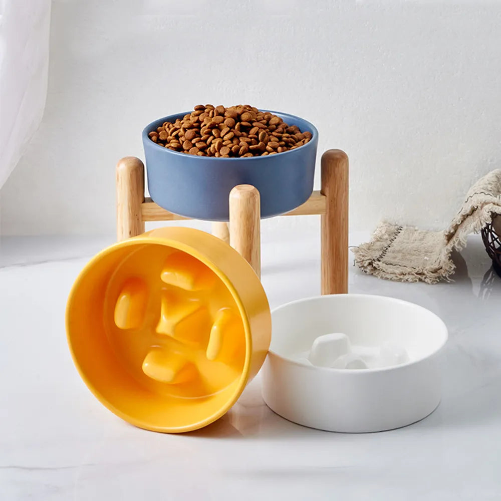 Ceramic Dog Slow Feeder Bowl
