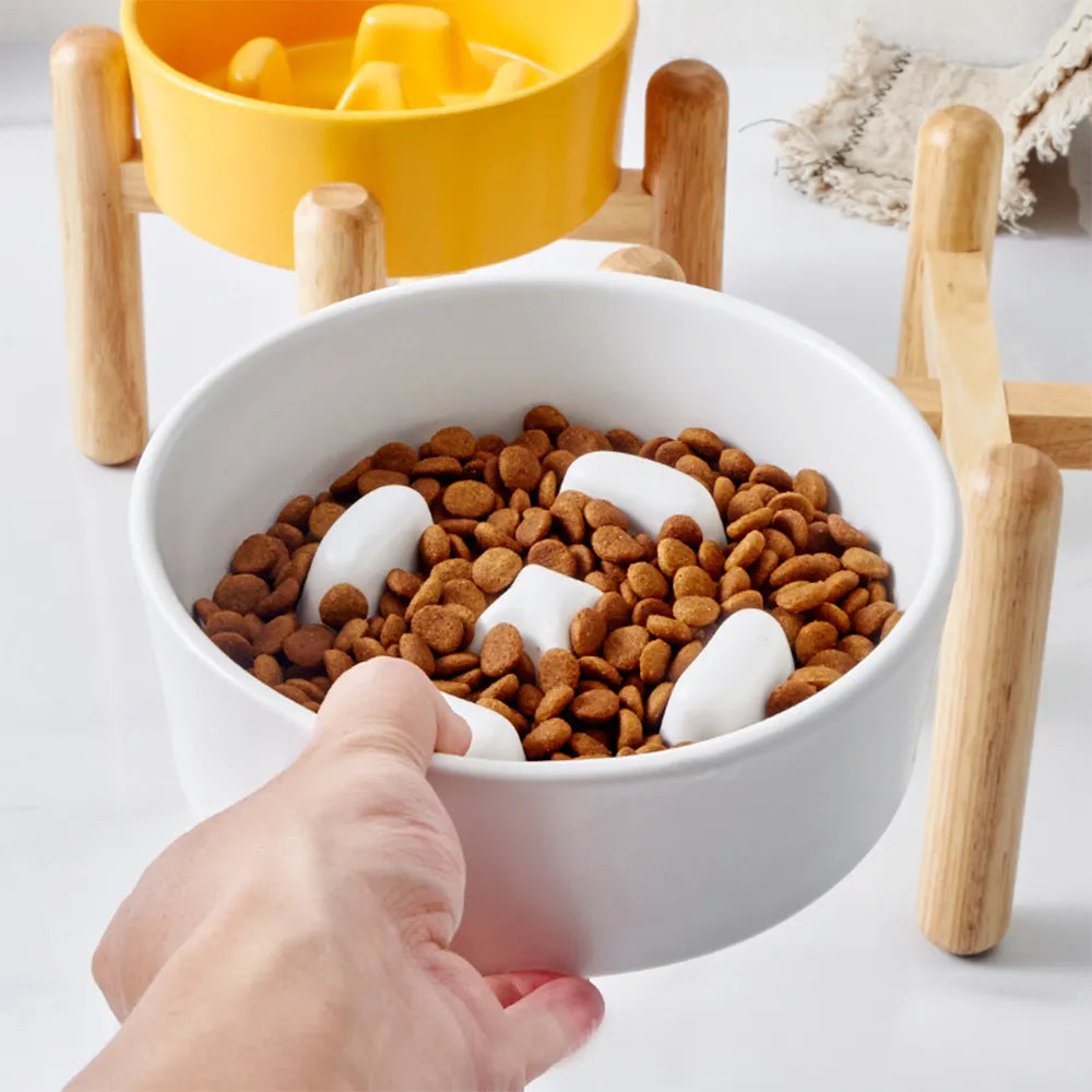 Ceramic Dog Slow Feeder Bowl