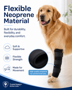 Professional Dog Leg Support Brace