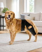 Dog Hip Knee Leg Brace For Rear Legs