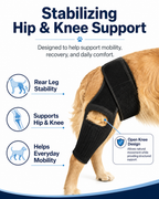 Dog Hip Knee Leg Brace For Rear Legs