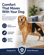Dog Hip Knee Leg Brace For Rear Legs