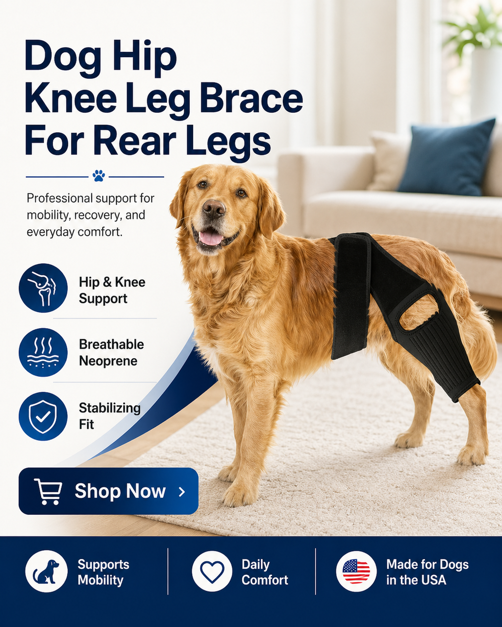 Dog Hip Knee Leg Brace For Rear Legs