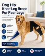 Dog Hip Knee Leg Brace For Rear Legs