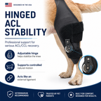 Single-Leg Dog ACL Support Brace