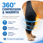 Single-Leg Dog ACL Support Brace