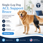Single-Leg Dog ACL Support Brace