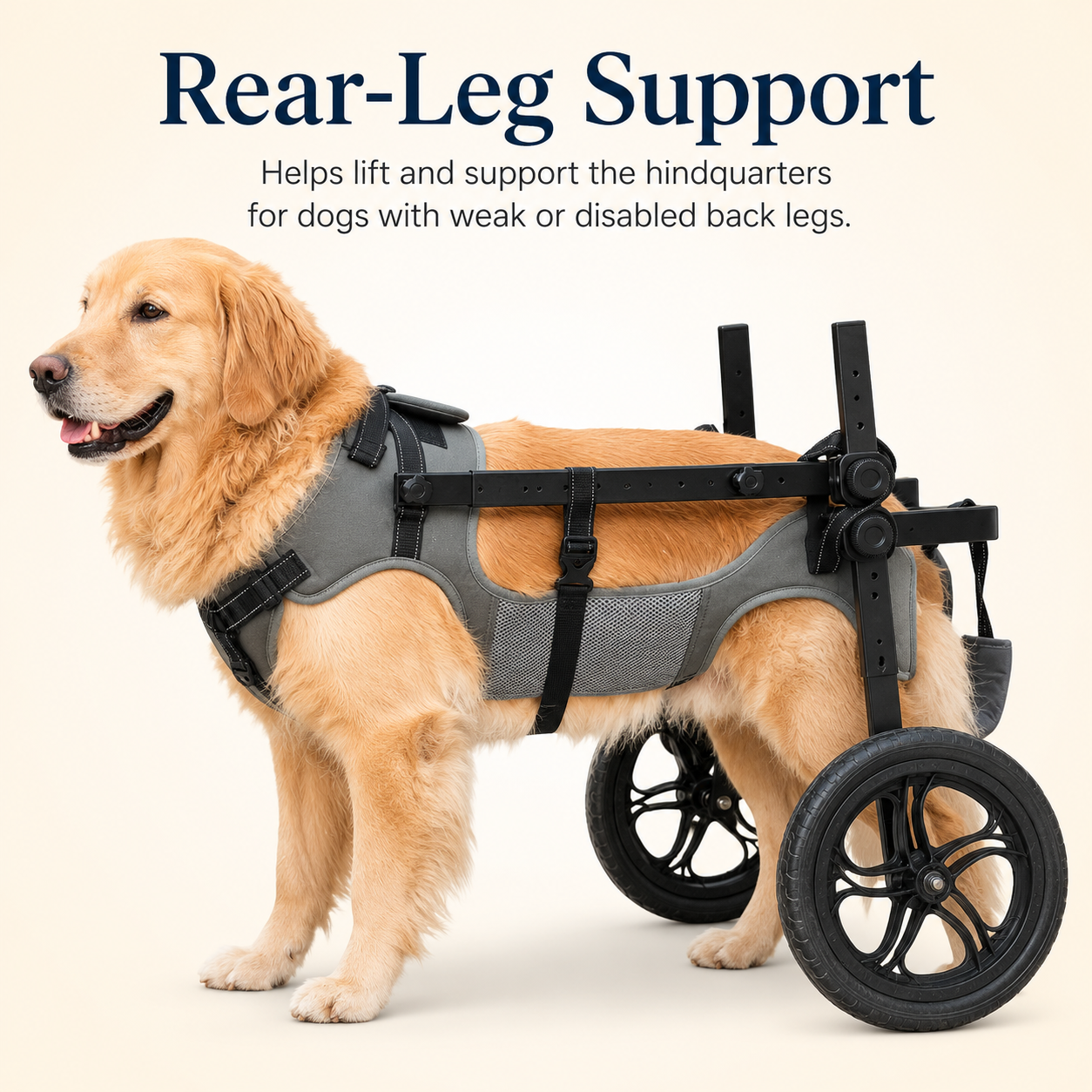 Large Dog Wheelchair for Back Legs
