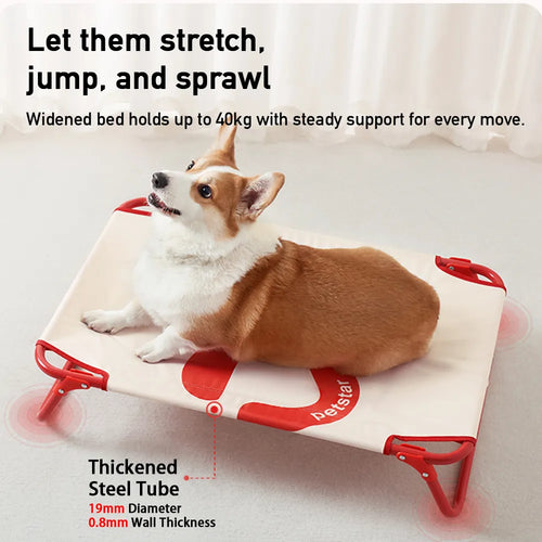 Classic Cooling Elevated Dog Bed