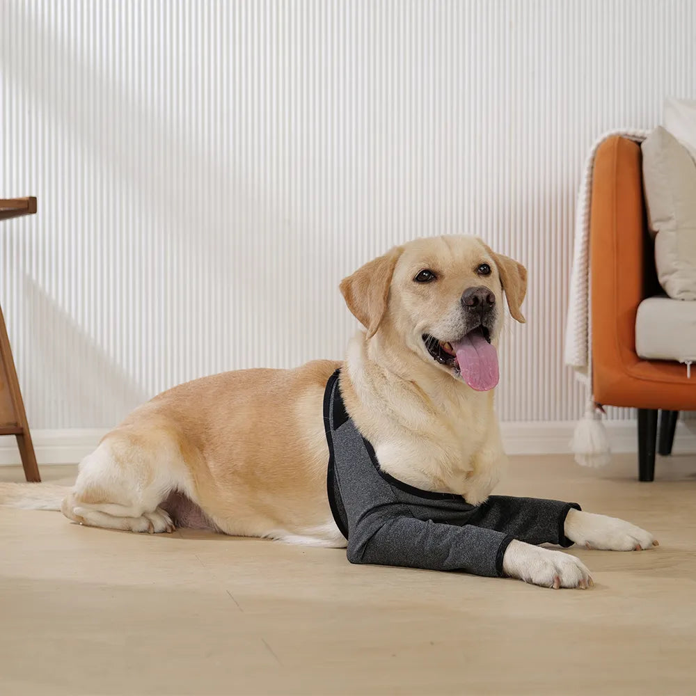 Dog Anti-Lick Sleeves for Front Legs