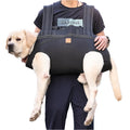 Dog Carry-Support Harness for Large Dogs
