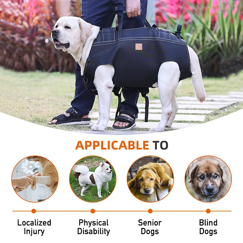 Dog Carry-Support Harness for Large Dogs