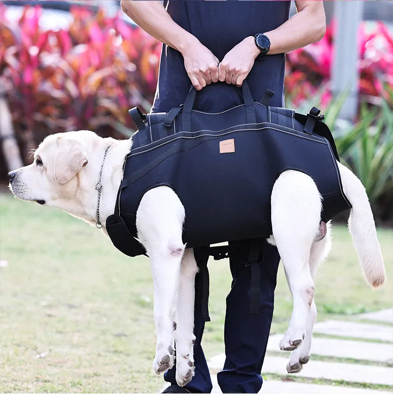 Dog Carry-Support Harness for Large Dogs