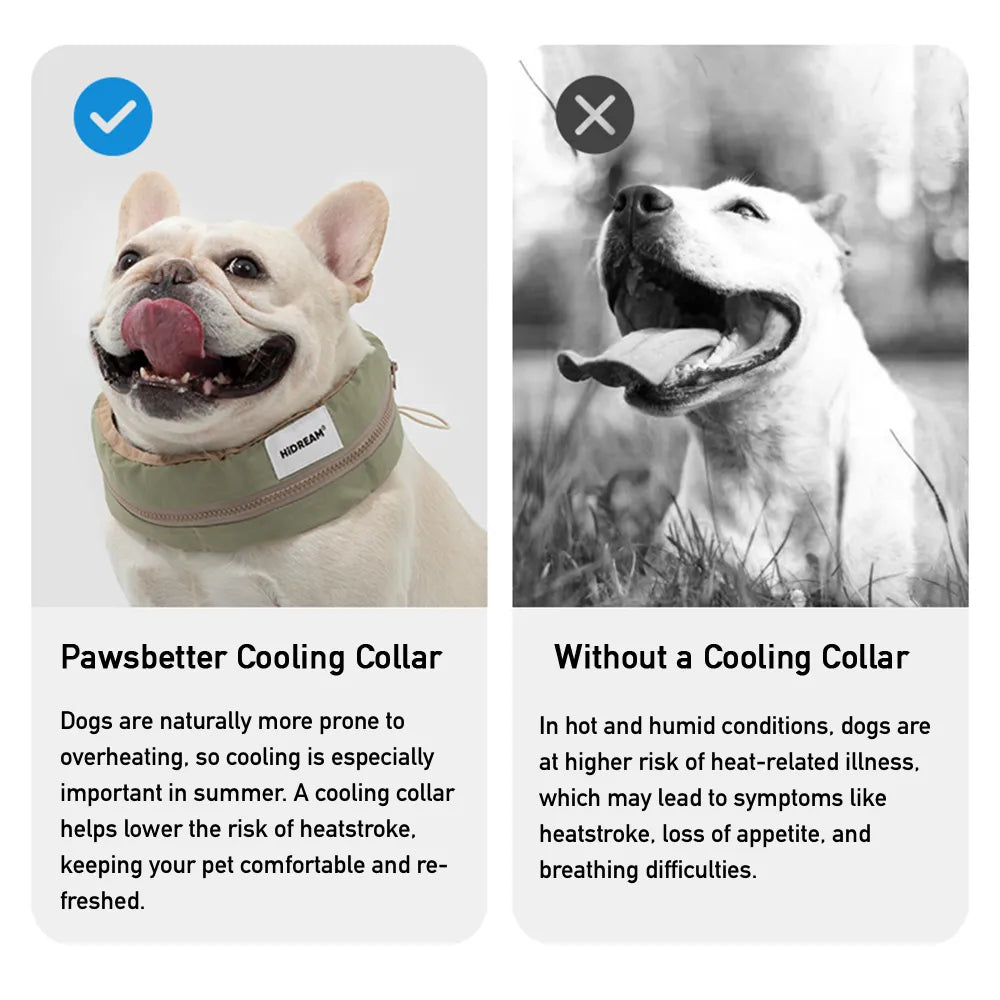 Dog Cooling Collar