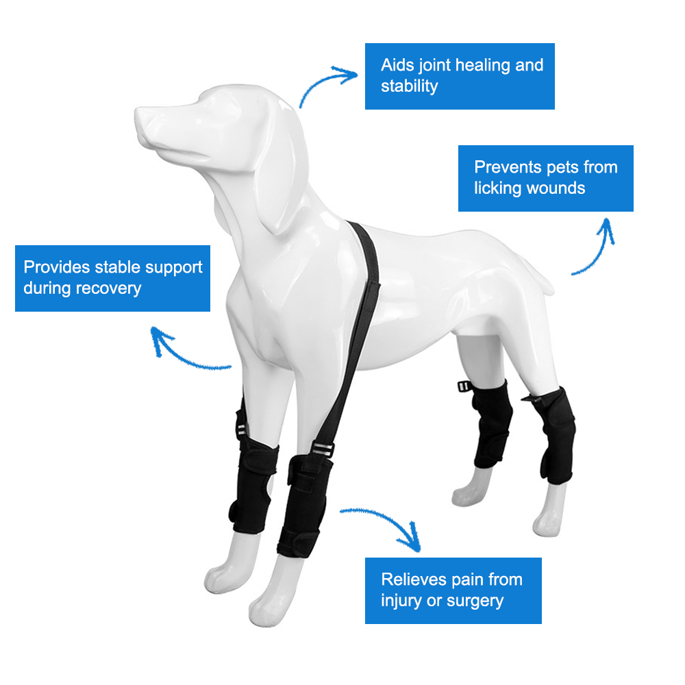 Dog Leg Support Brace with Lift Strap