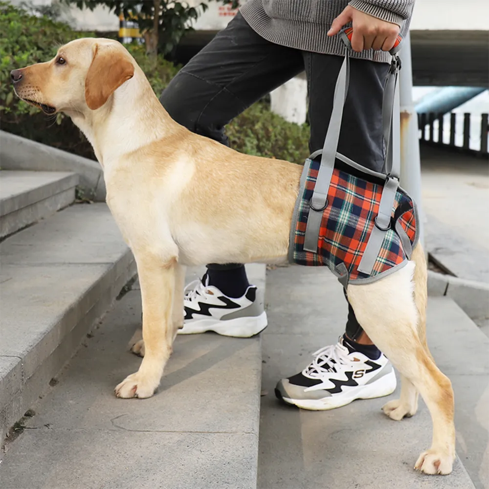 Dog Lift Harness for Front Legs