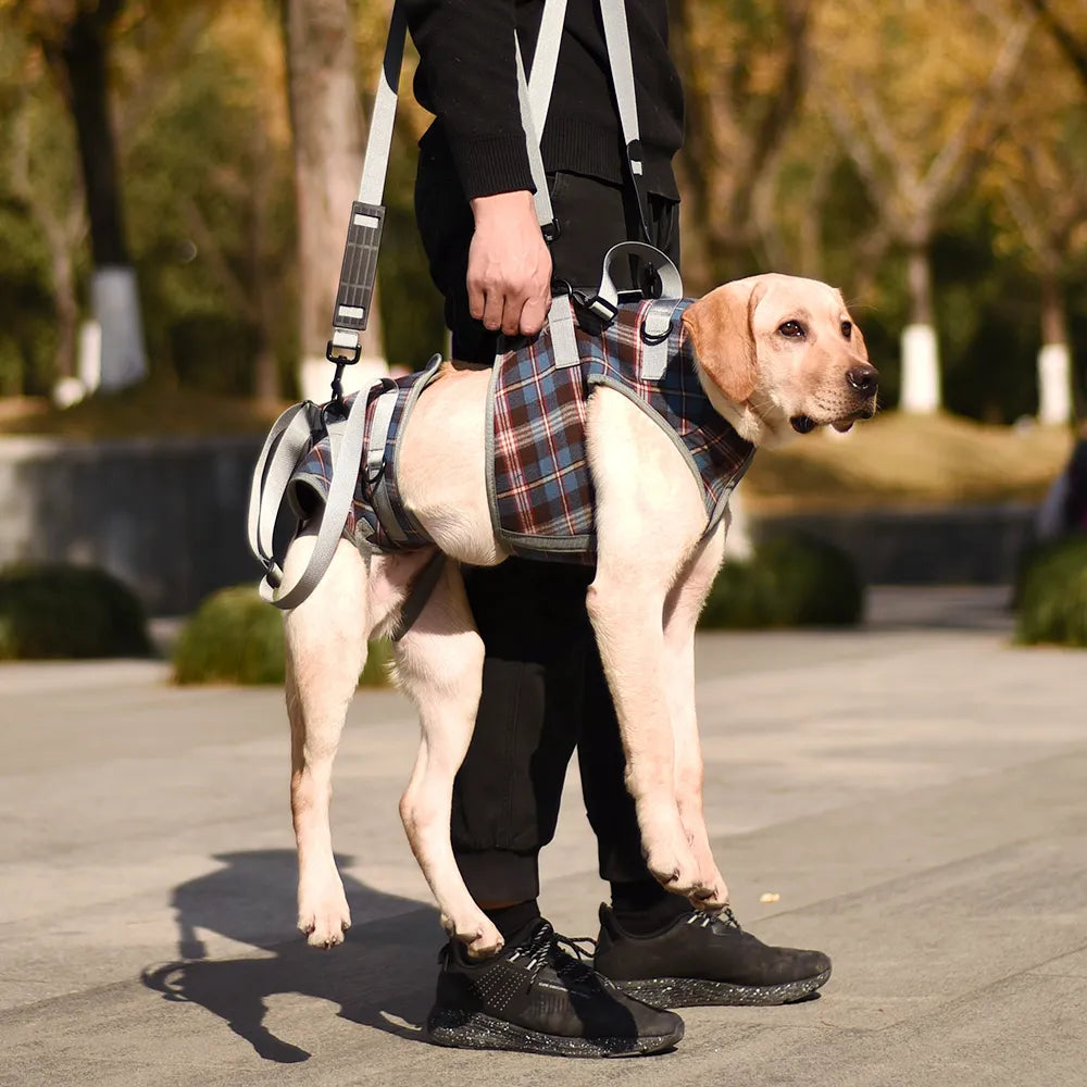 Dog Lift Harness for Front Legs