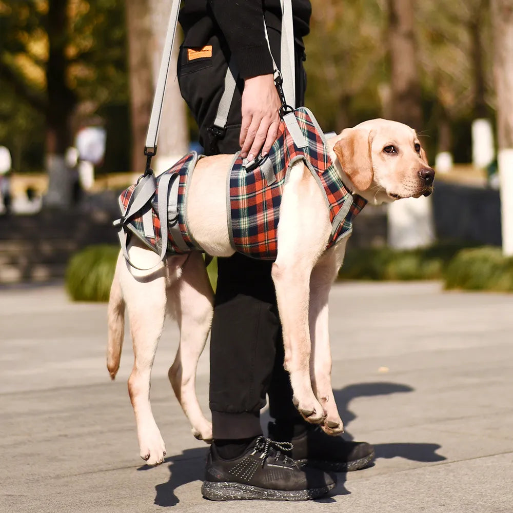 Dog Lift Harness for Front Legs