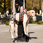 Dog Lift Harness for Front Legs