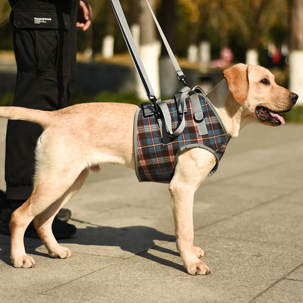 Dog Lift Harness for Front Legs