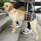 Dog Lift Harness for Front Legs
