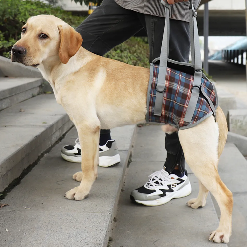Dog Lift Harness for Front Legs