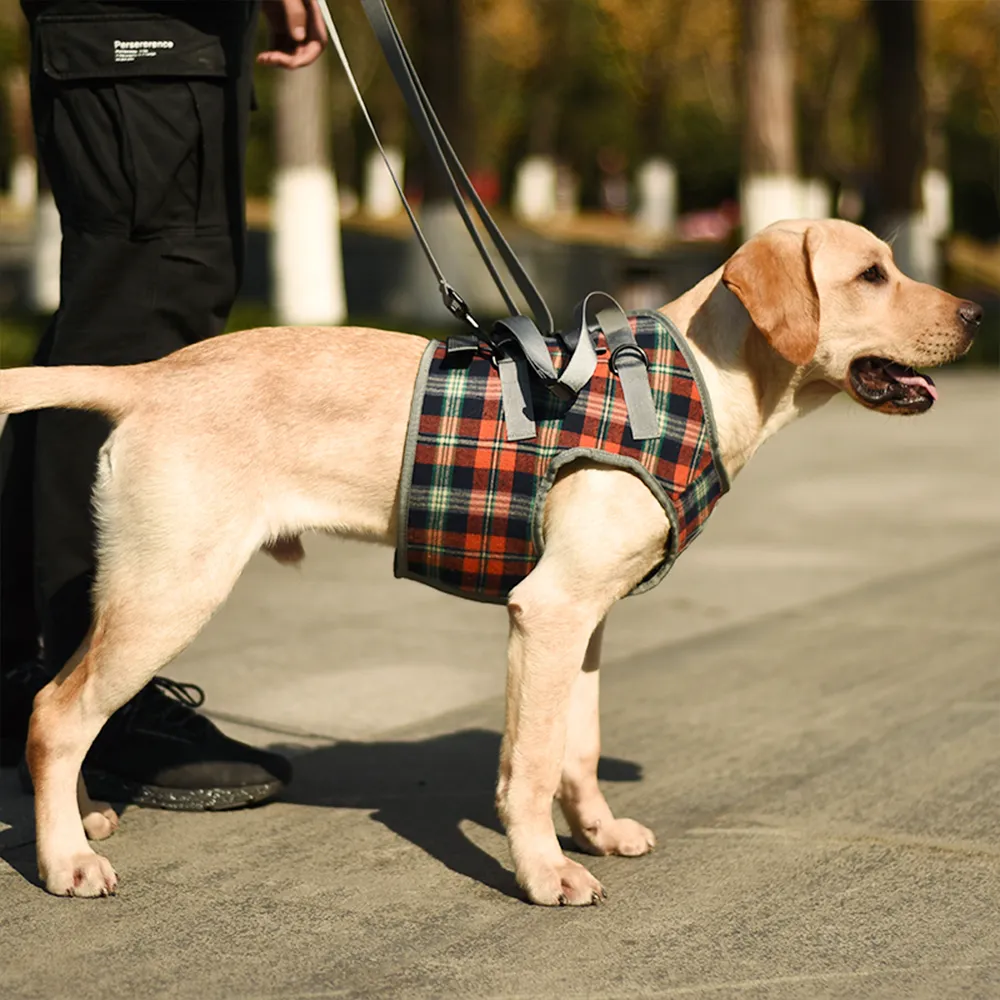 Dog Lift Harness for Front Legs