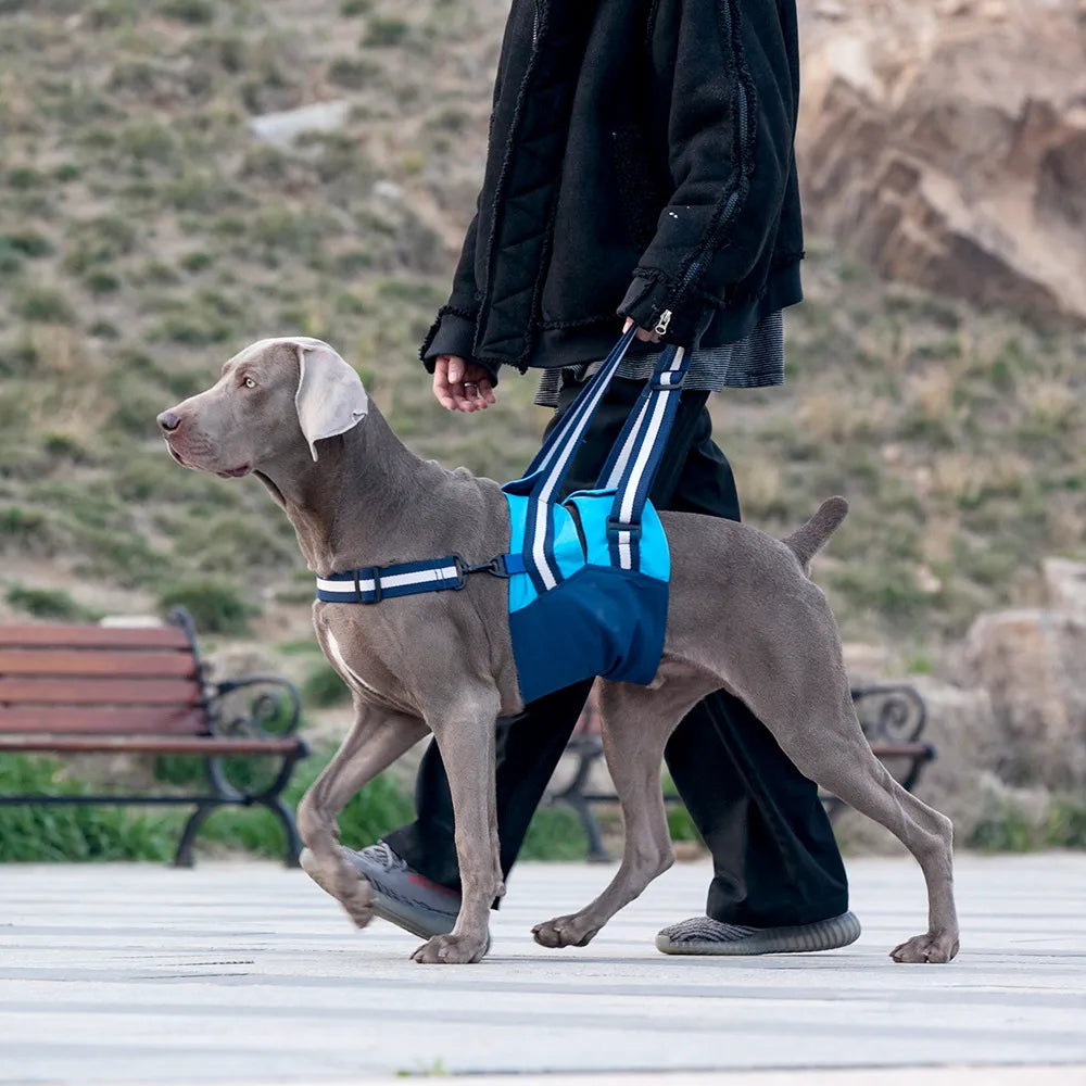 Dog Lift Harness for Forebody