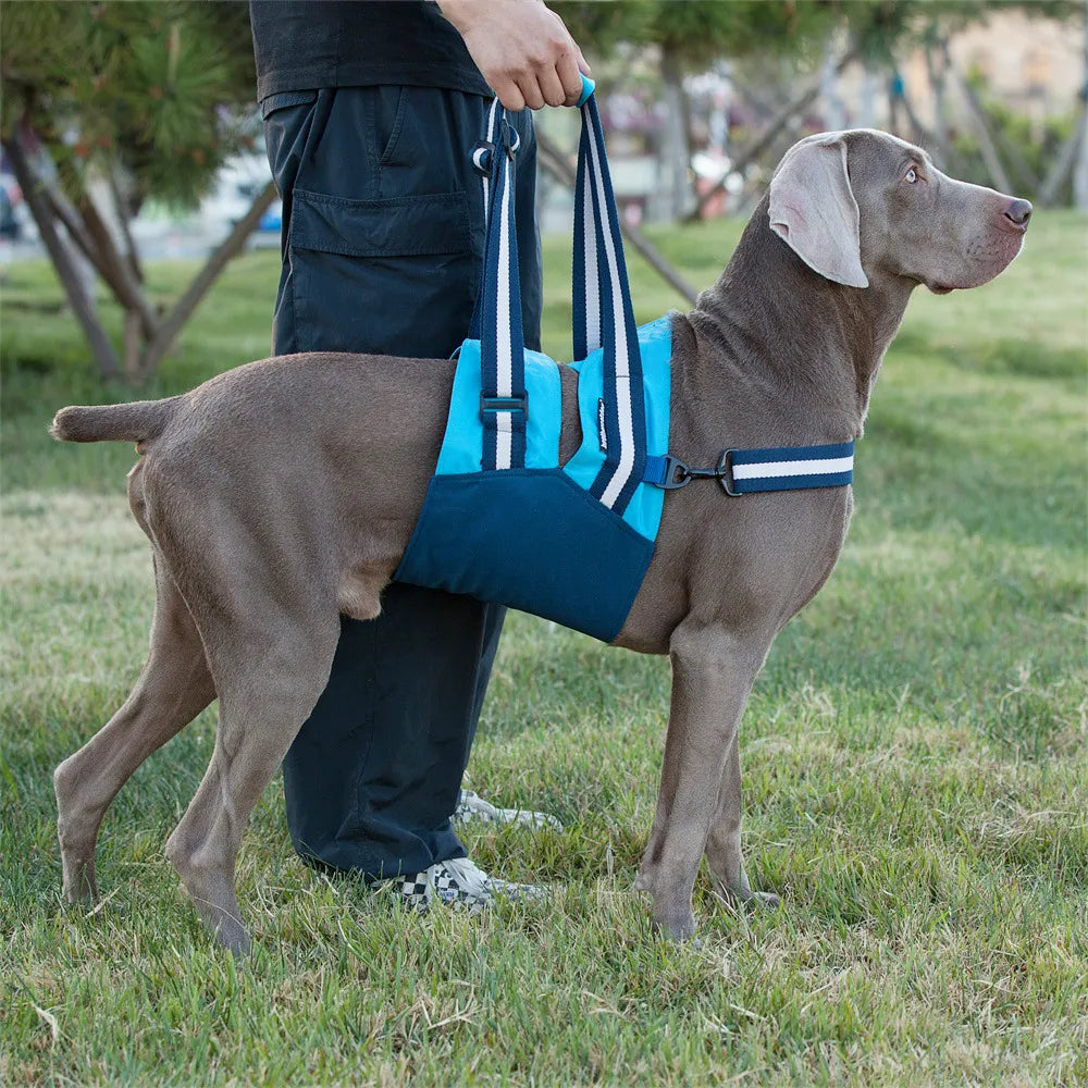 Dog Lift Harness for Forebody