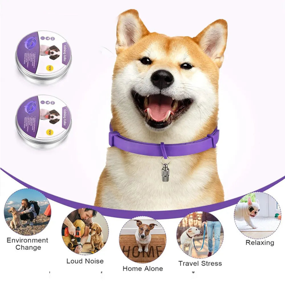 Dog Pheromone Calming Collar