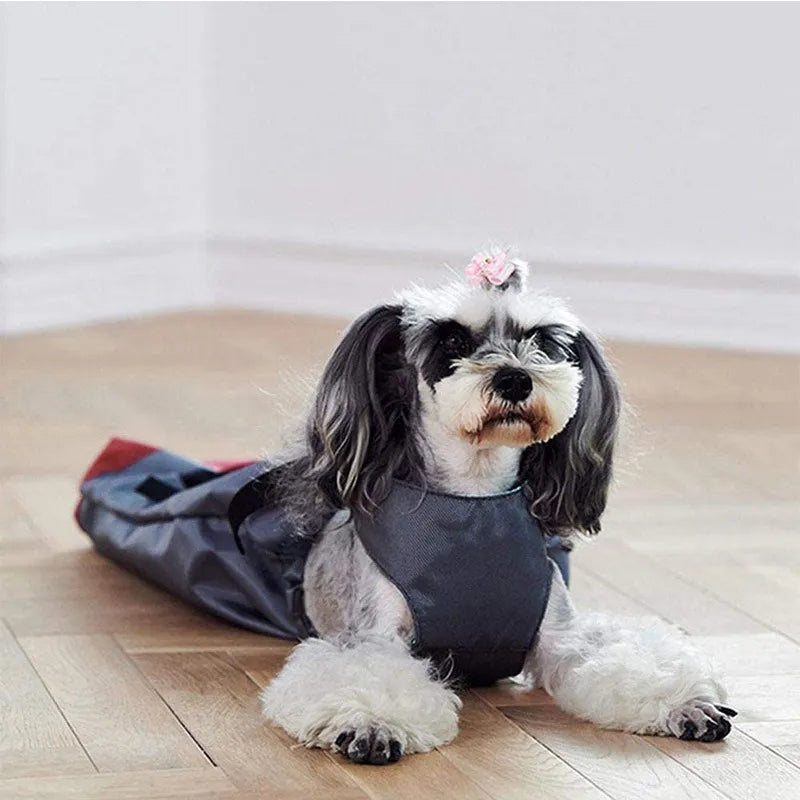 Dog Protective Bag for Rear Body