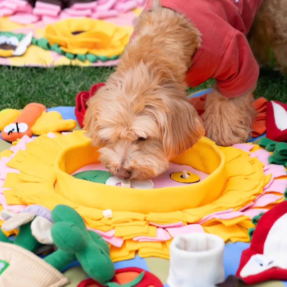 Dog Snuffle Mat - Nature