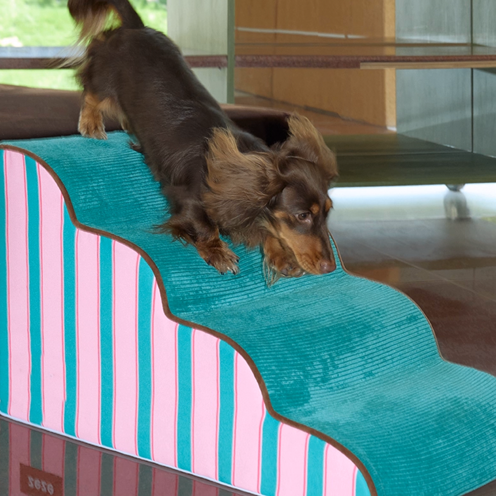 Dog Stairs for Easy Bed and Couch Access